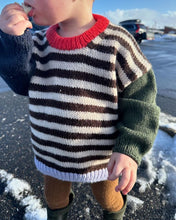 Indlæs billede til gallerivisning PetiteKnit HOLGER SWEATER